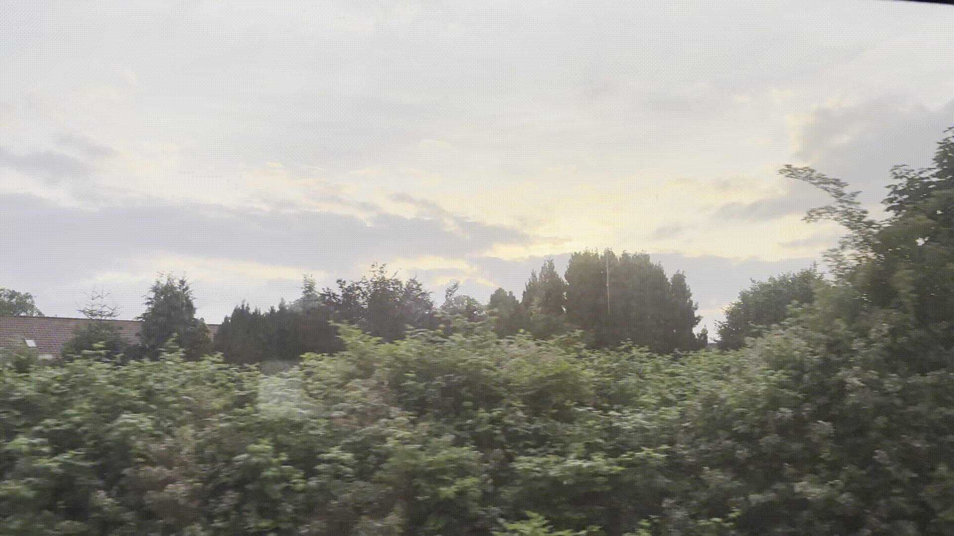 sunrise from a moving train