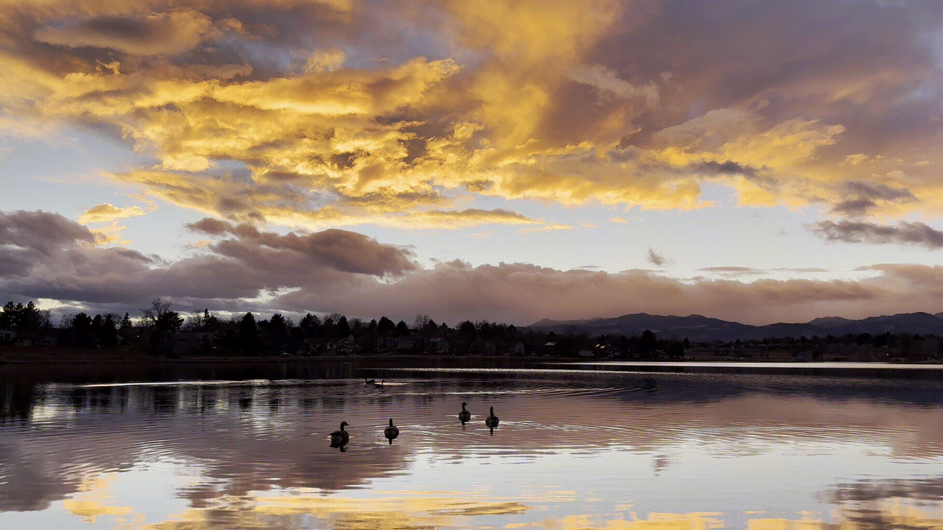 colorful sunset over a lake with ducks swimming away, mountains in the background